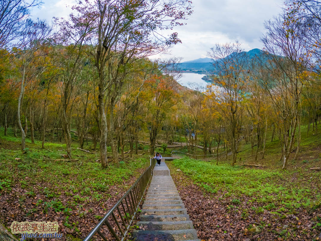 石門水庫楓林步道