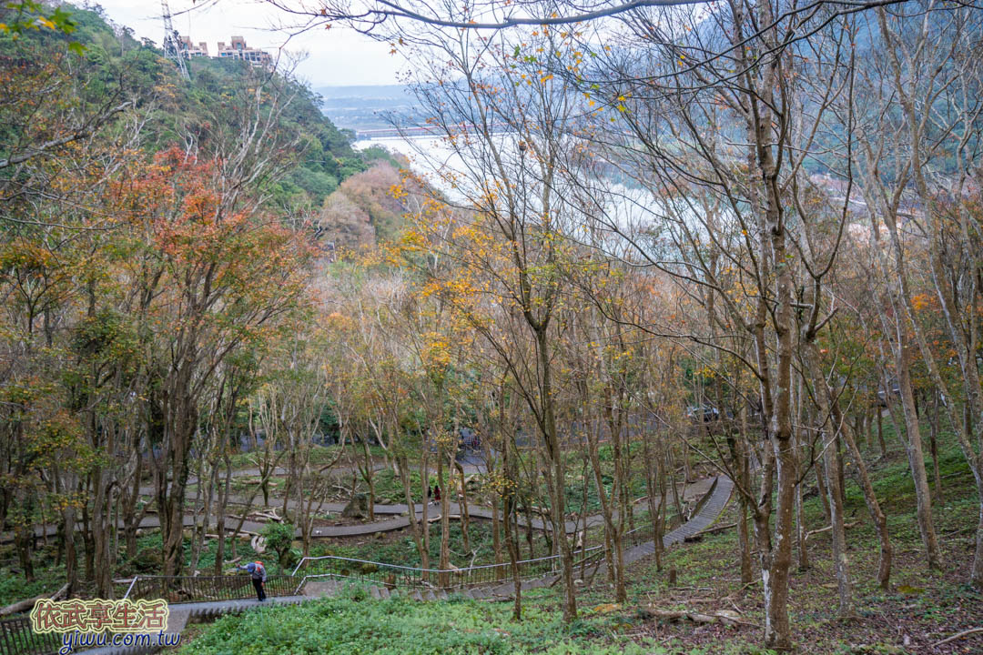 石門水庫楓林步道