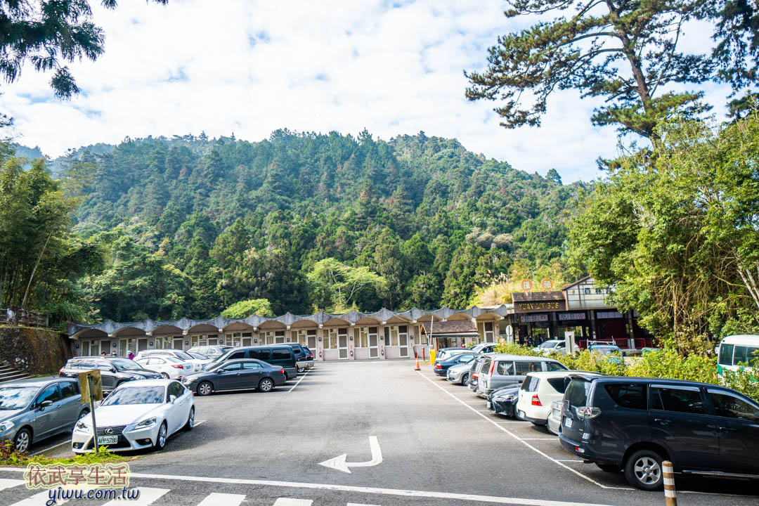 溪頭森林遊樂區停車