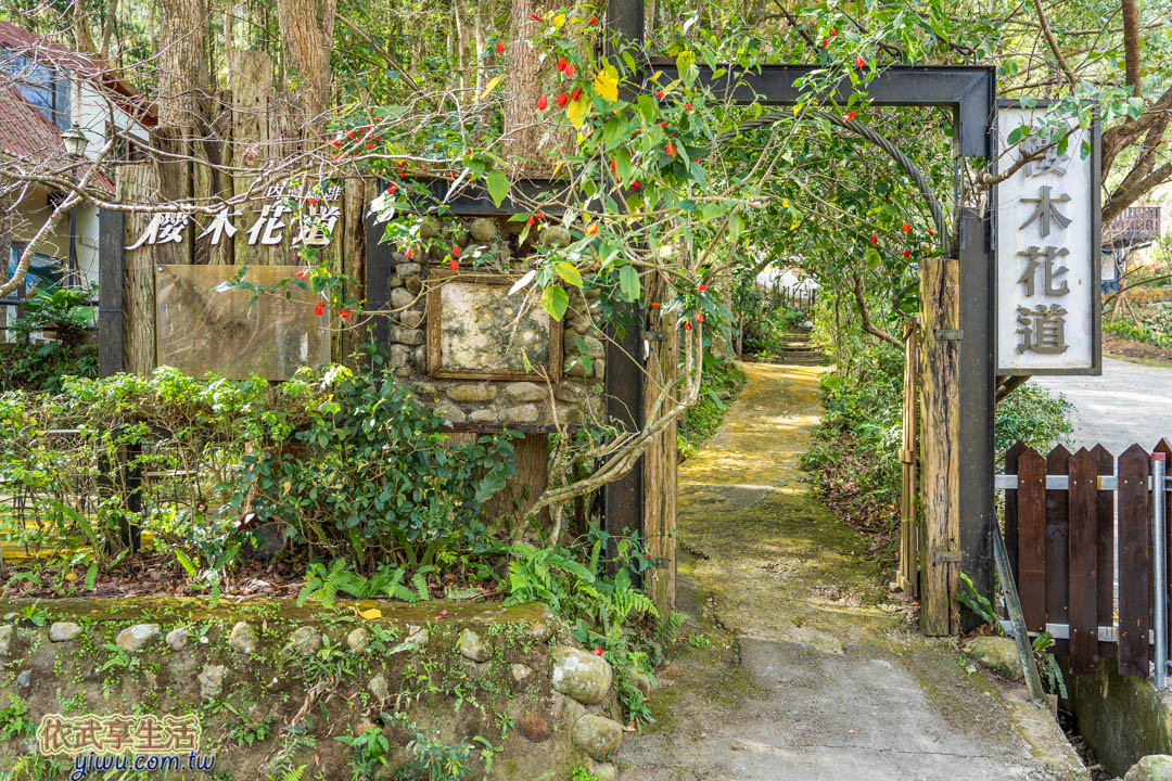 內灣老街櫻木花道咖啡館