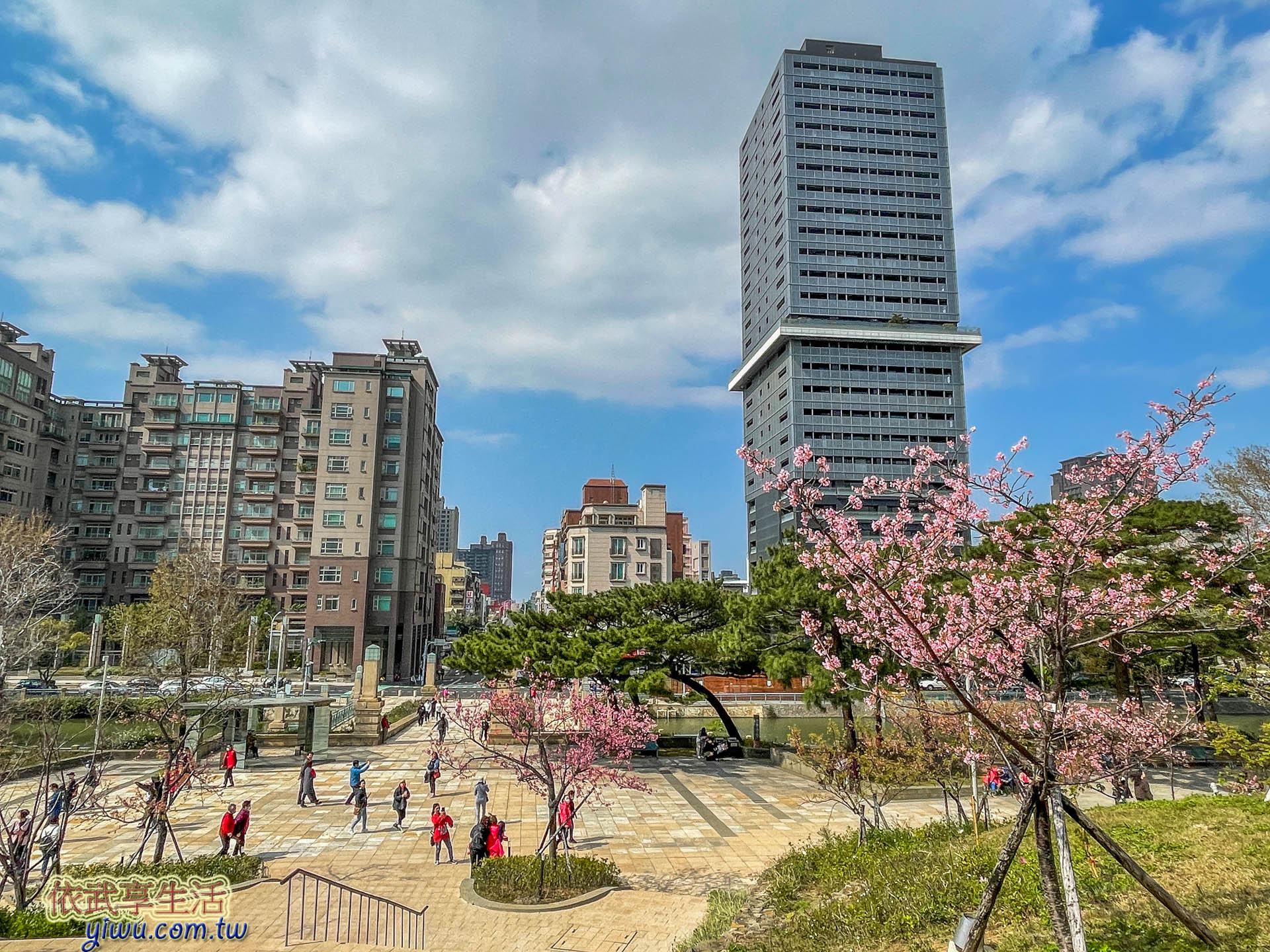 新竹公園櫻花季