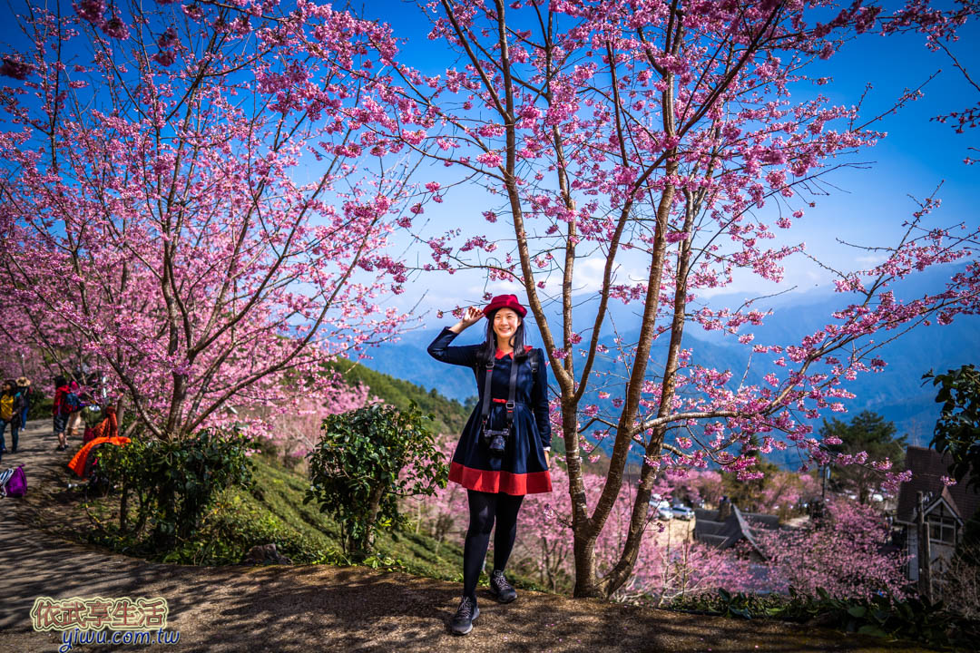 山上人家