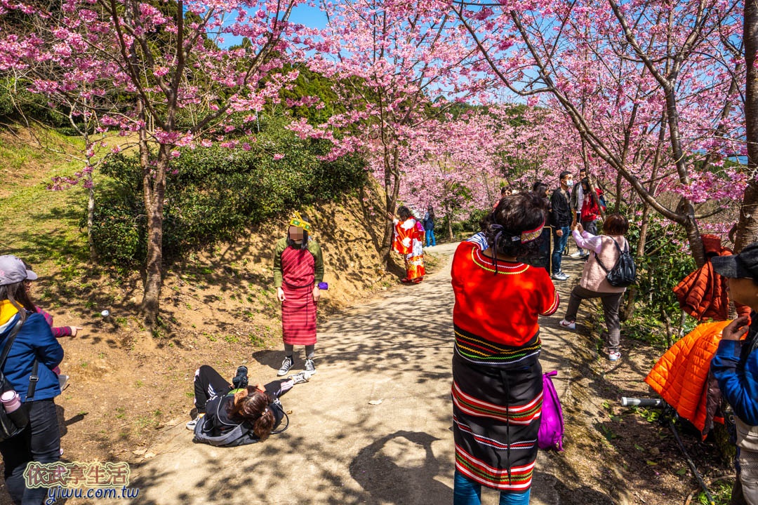 山上人家