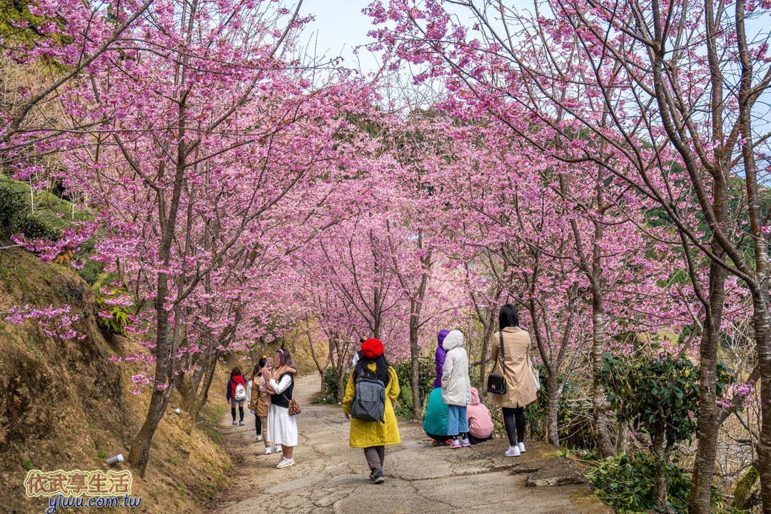 山上人家