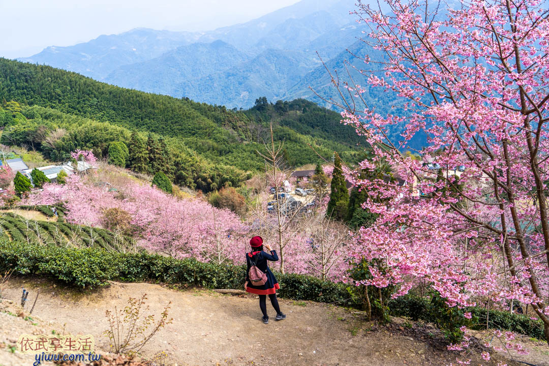 山上人家