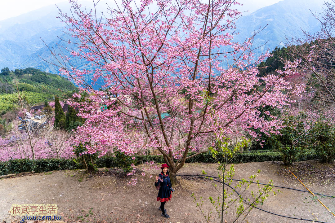 山上人家