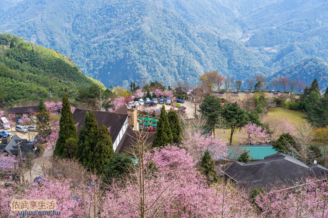 山上人家