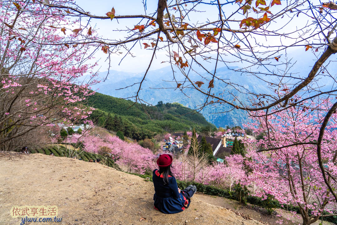 山上人家
