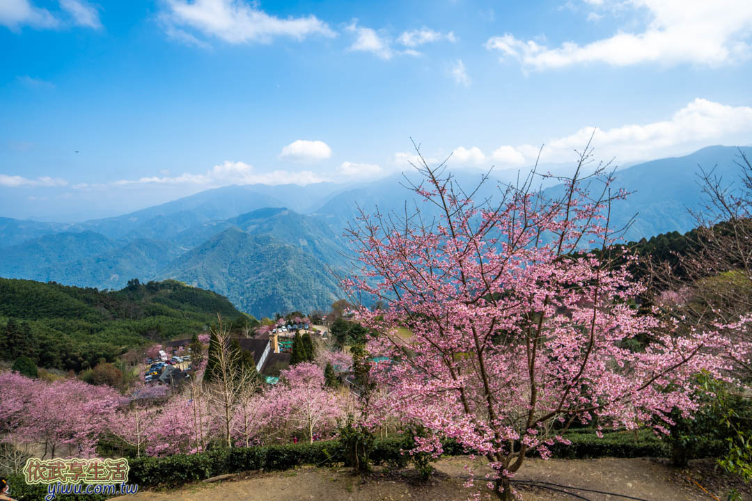 山上人家
