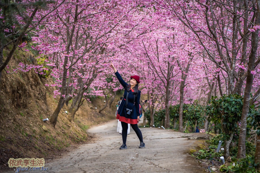 山上人家
