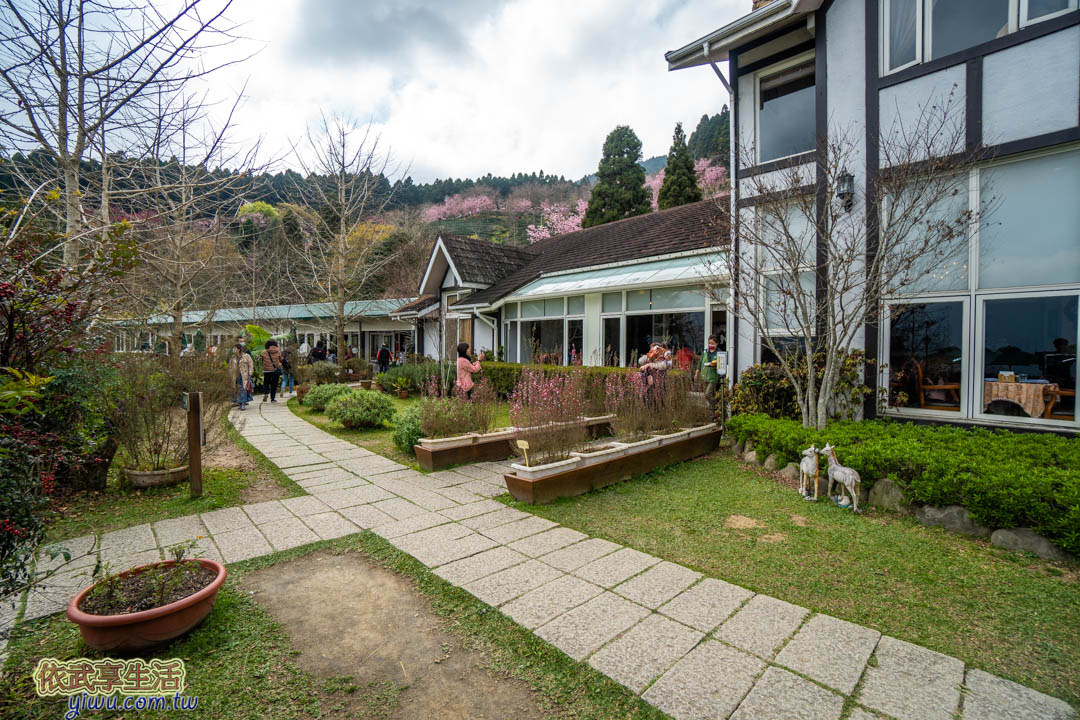 山上人家