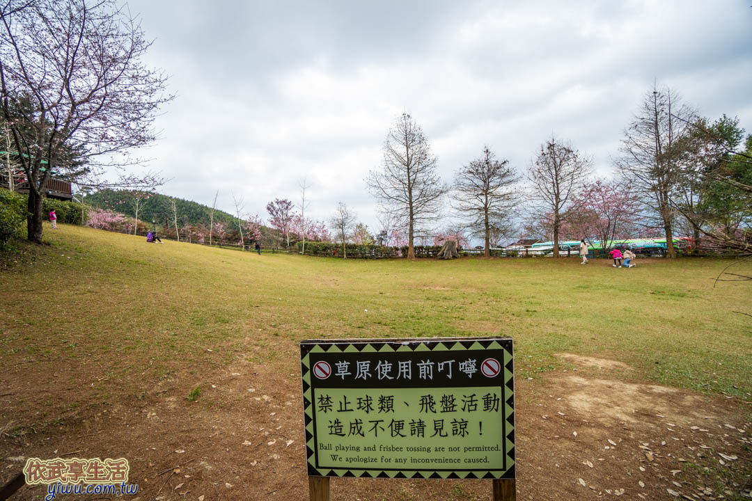 山上人家