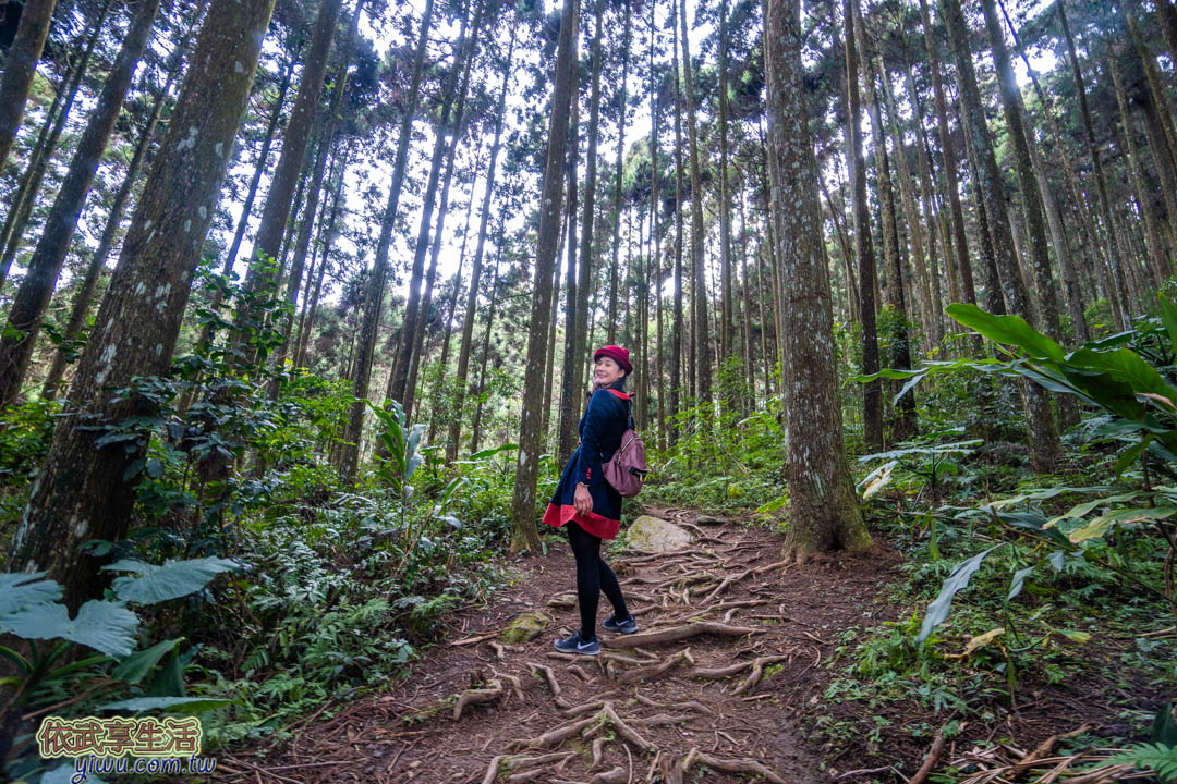 山上人家