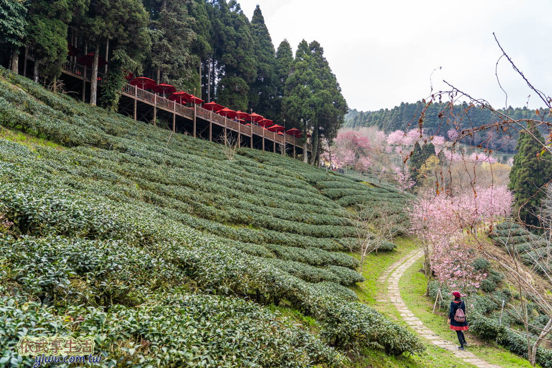 山上人家