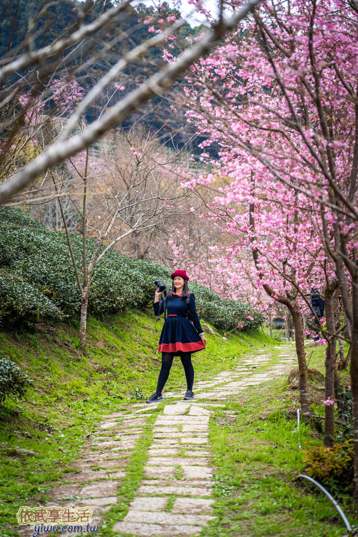 山上人家