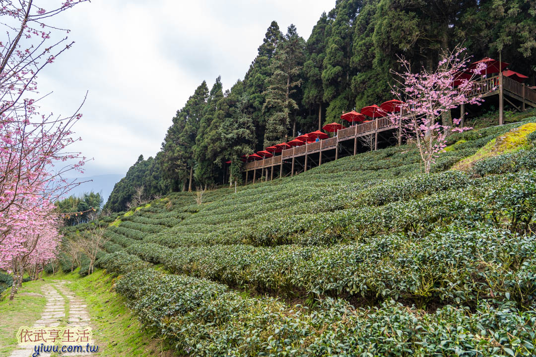 山上人家