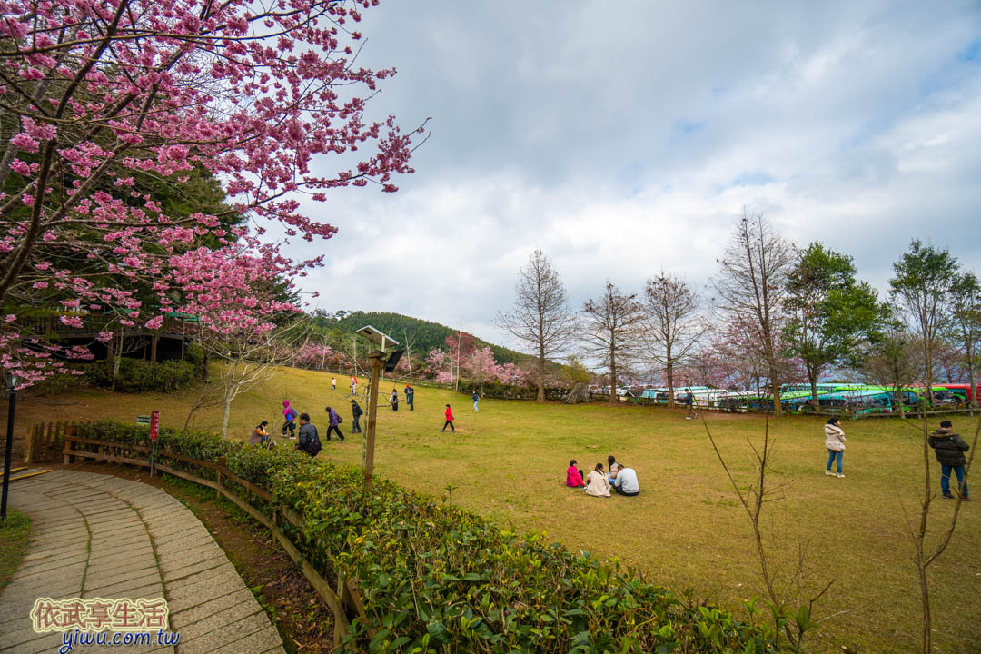 山上人家