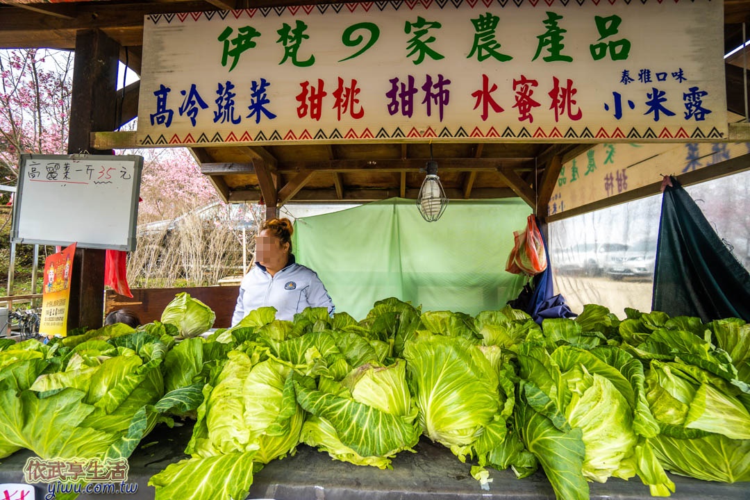 山上人家