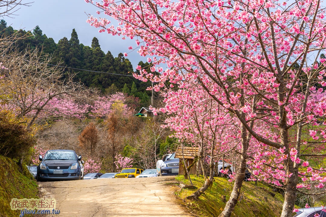 山上人家