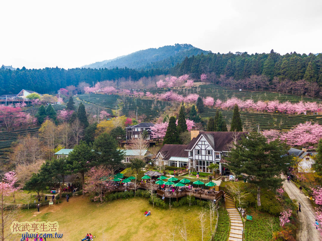 山上人家