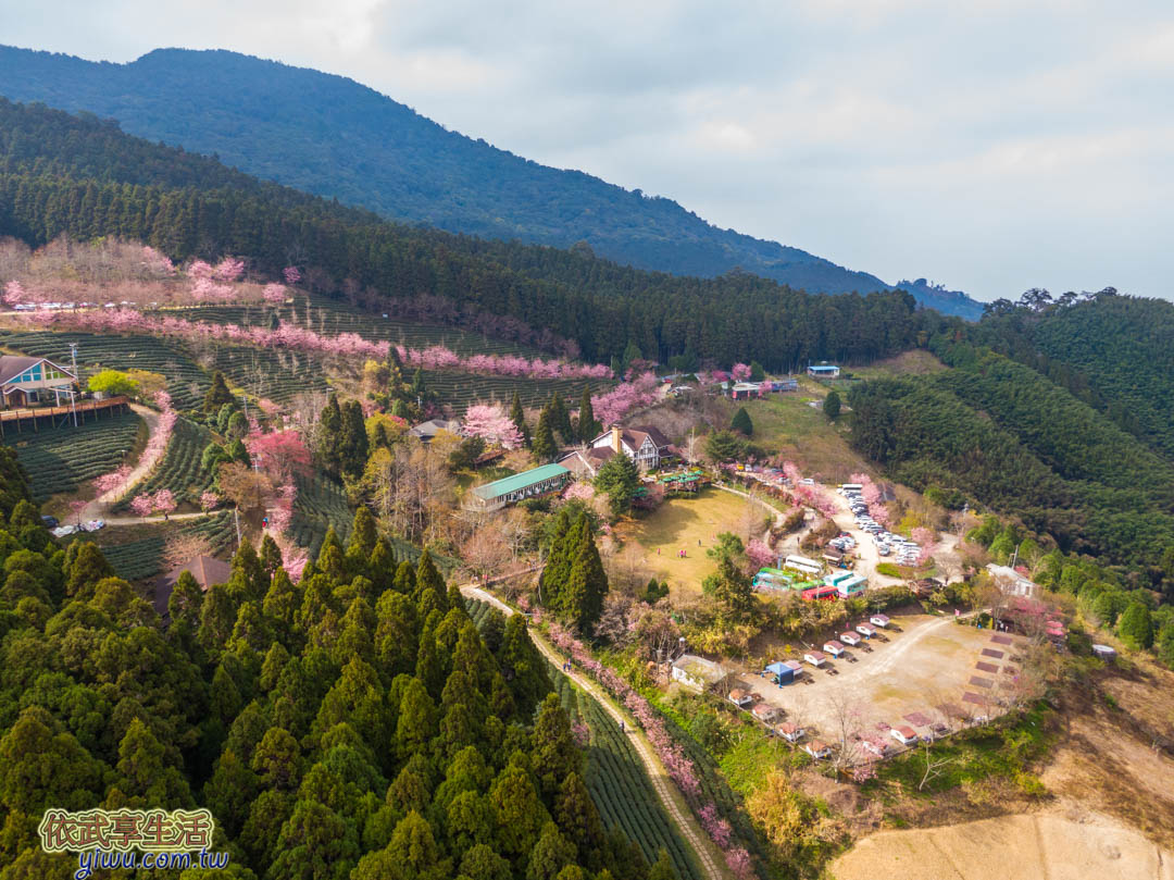 山上人家