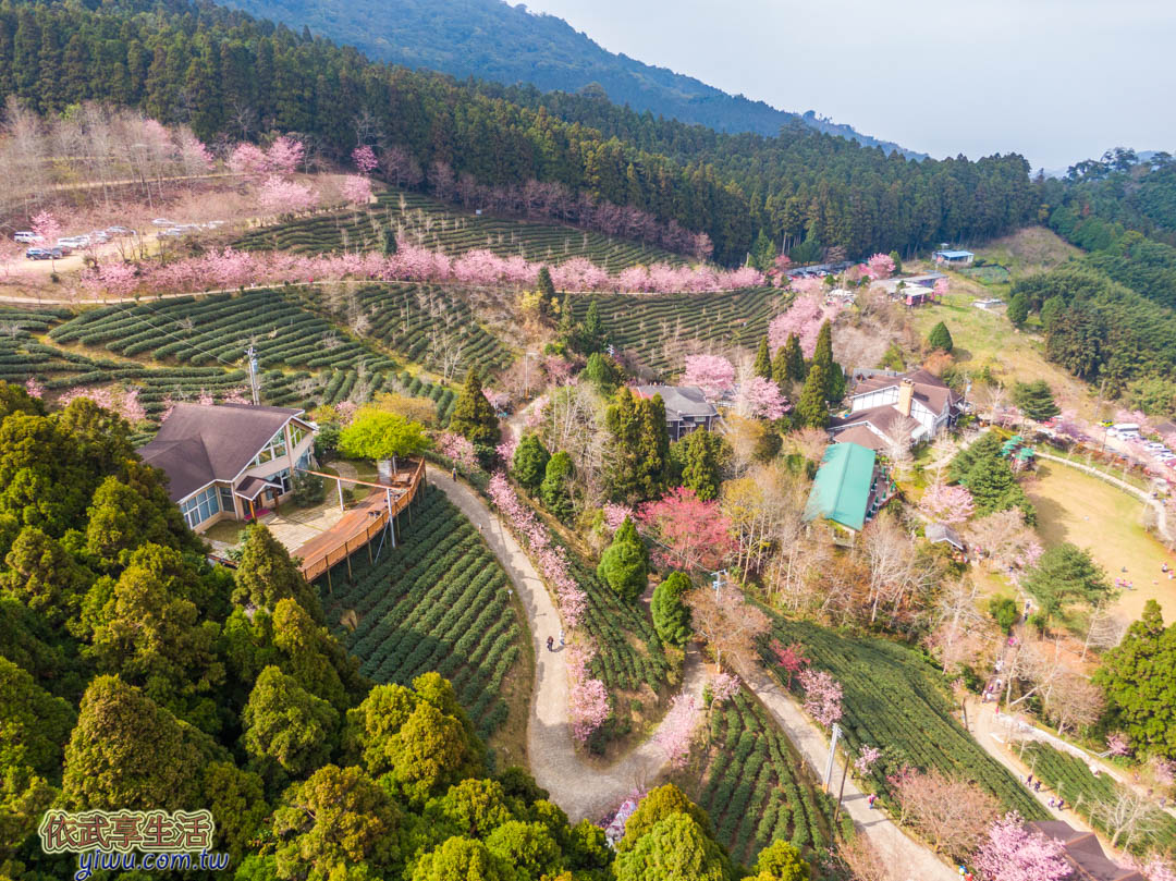 山上人家