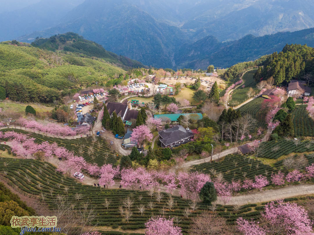 山上人家