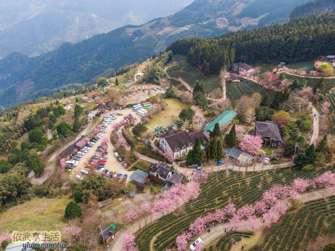 山上人家