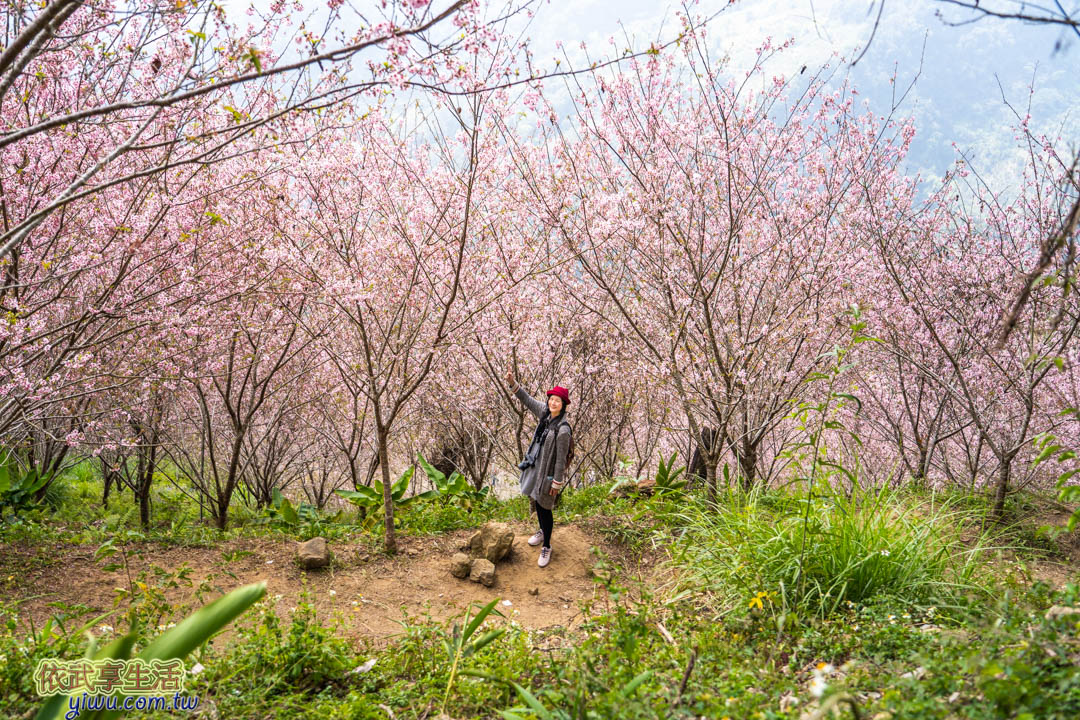 沐心泉休閒農場