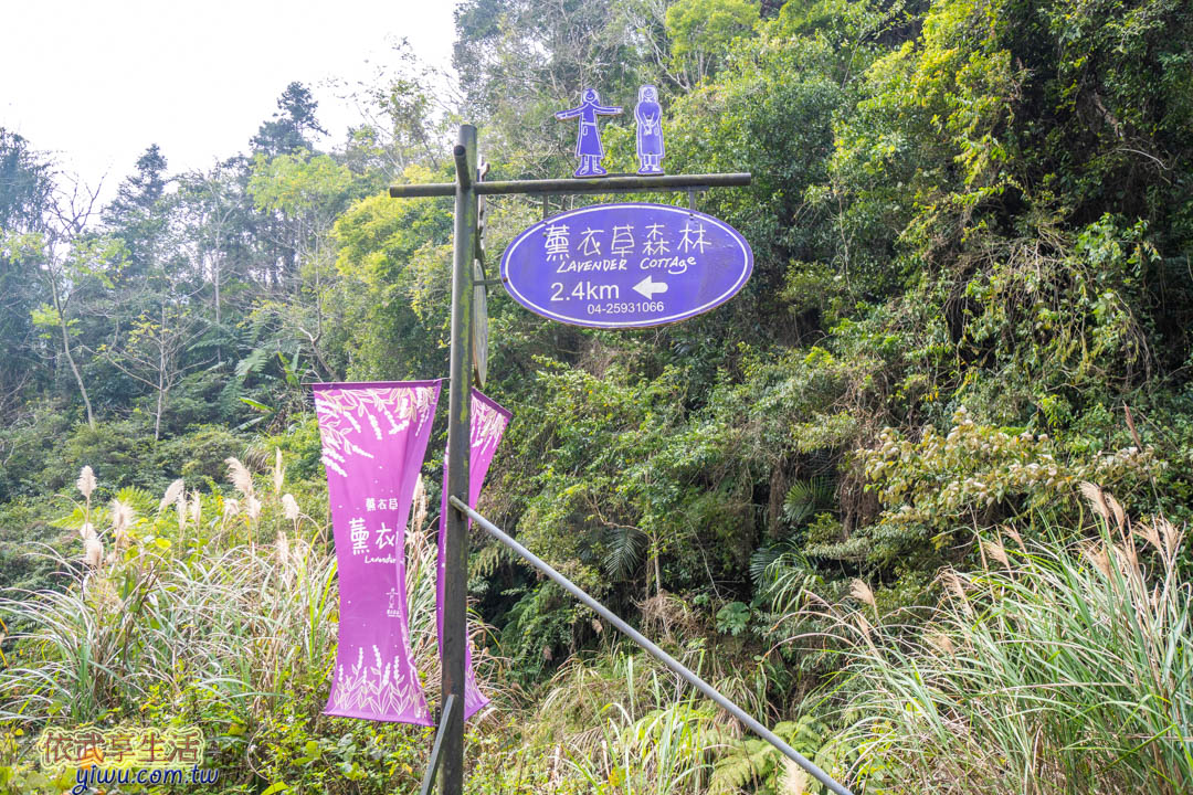 台中薰衣草森林