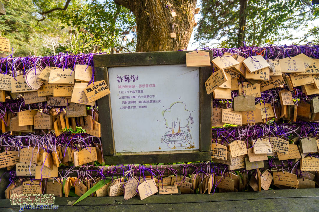 薰衣草森林