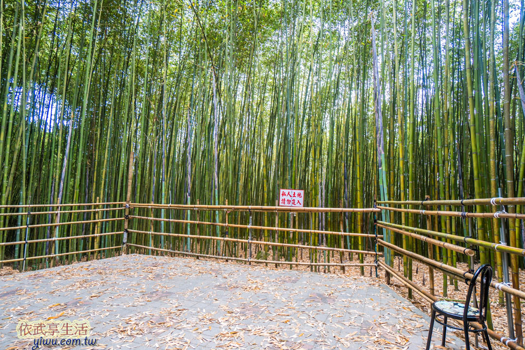 烏嘎彥竹林
