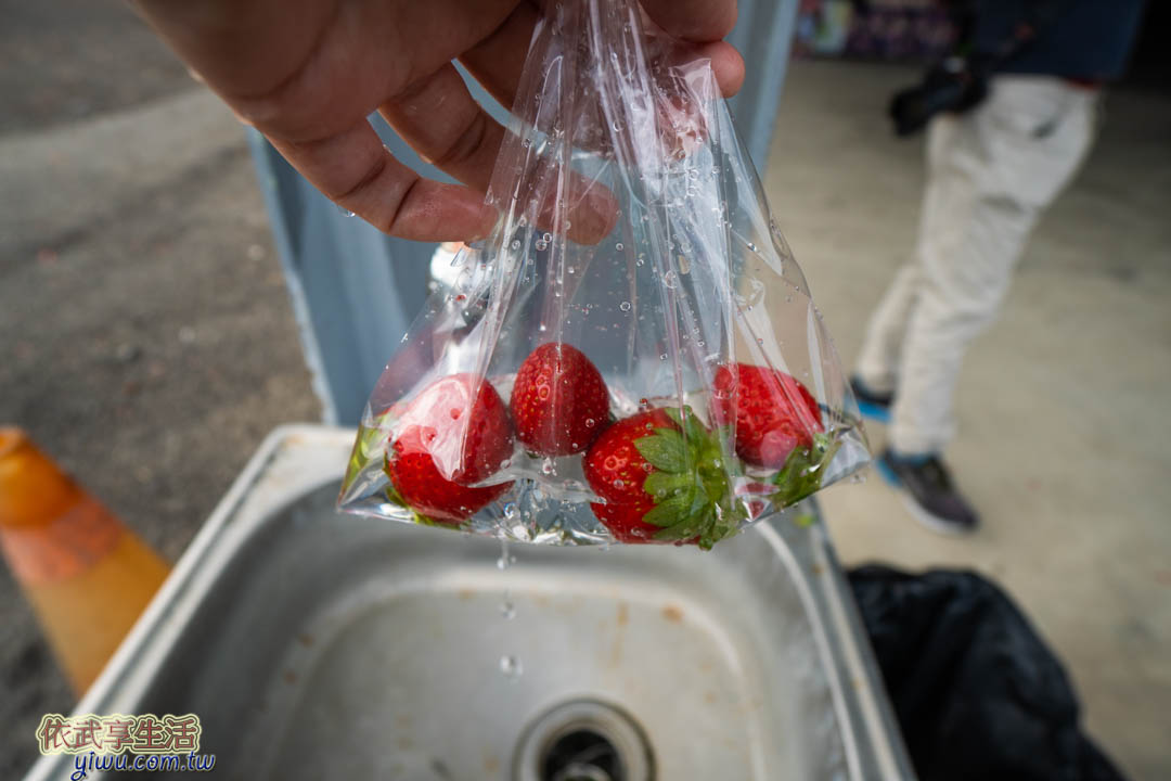 大湖草莓