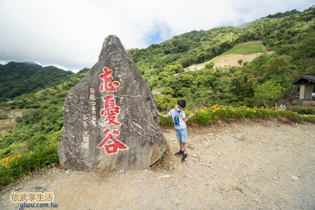太麻里金針花