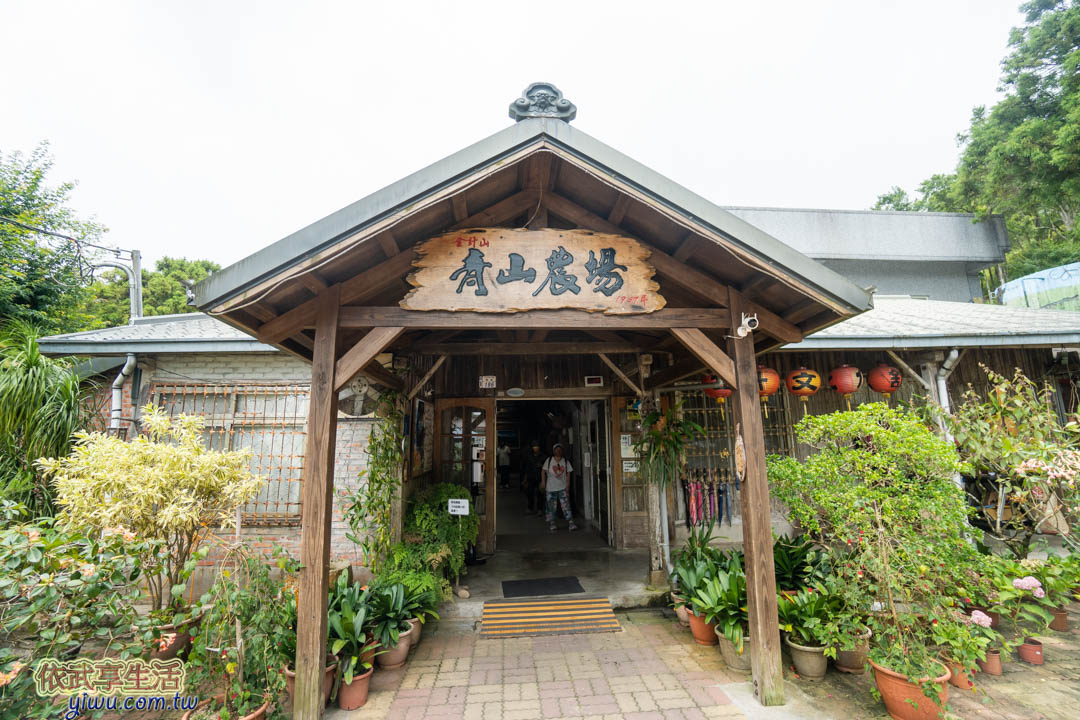 台東金針花美食餐廳