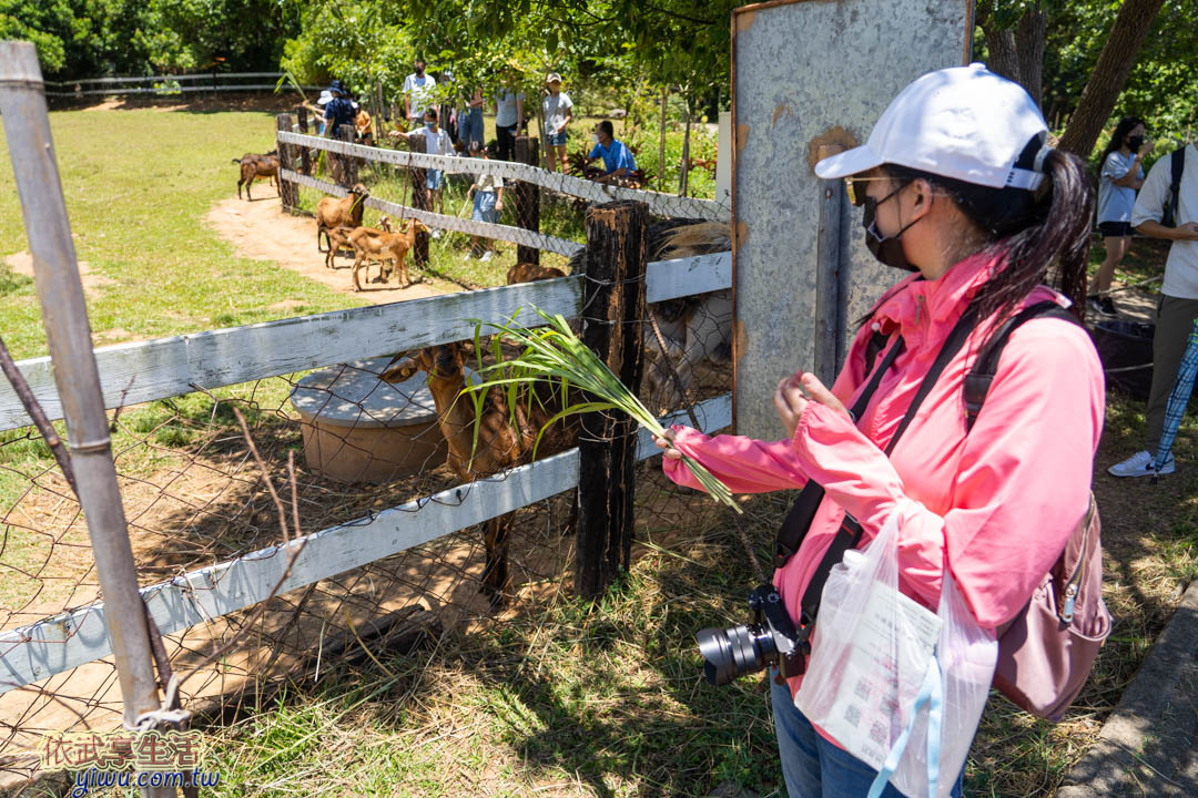 台東原生應用植物園