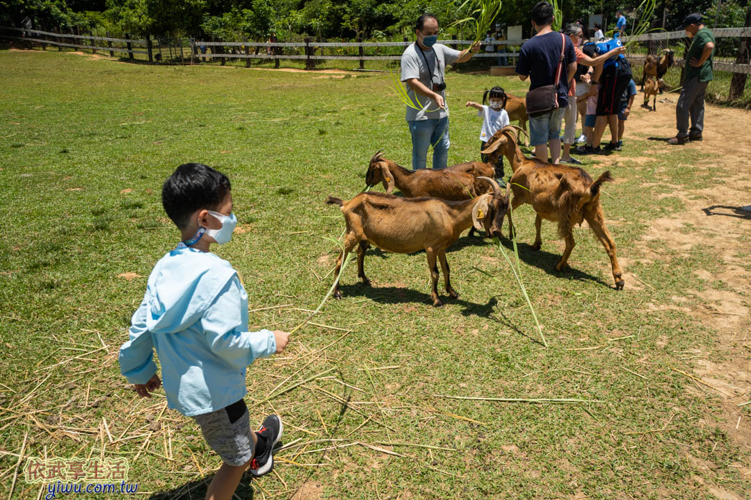 台東原生應用植物園