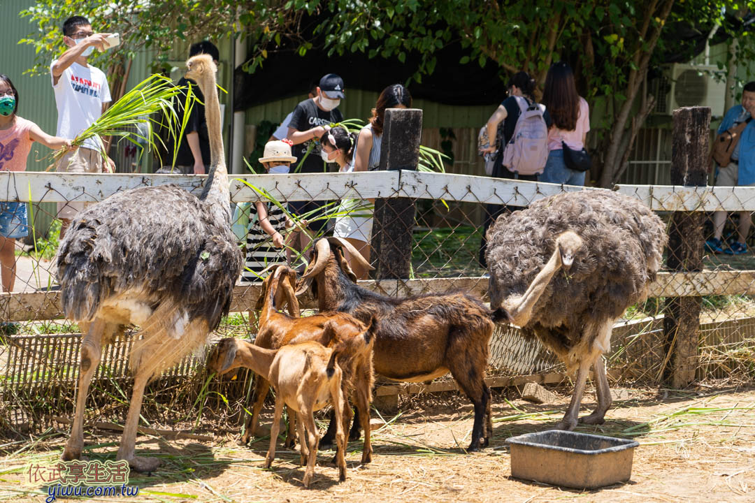 台東原生應用植物園