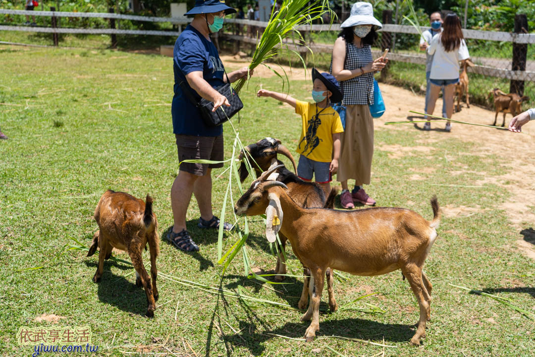 台東原生應用植物園