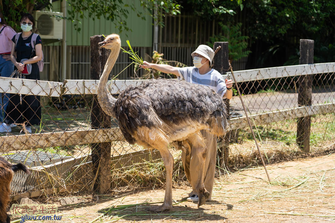 台東原生應用植物園