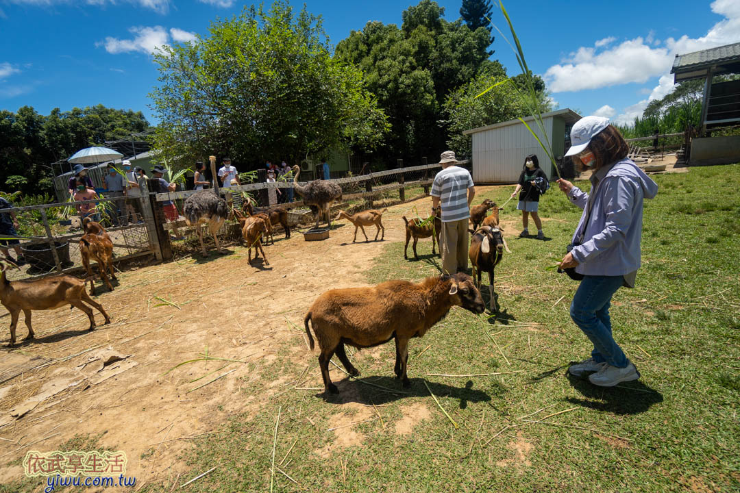 台東原生應用植物園