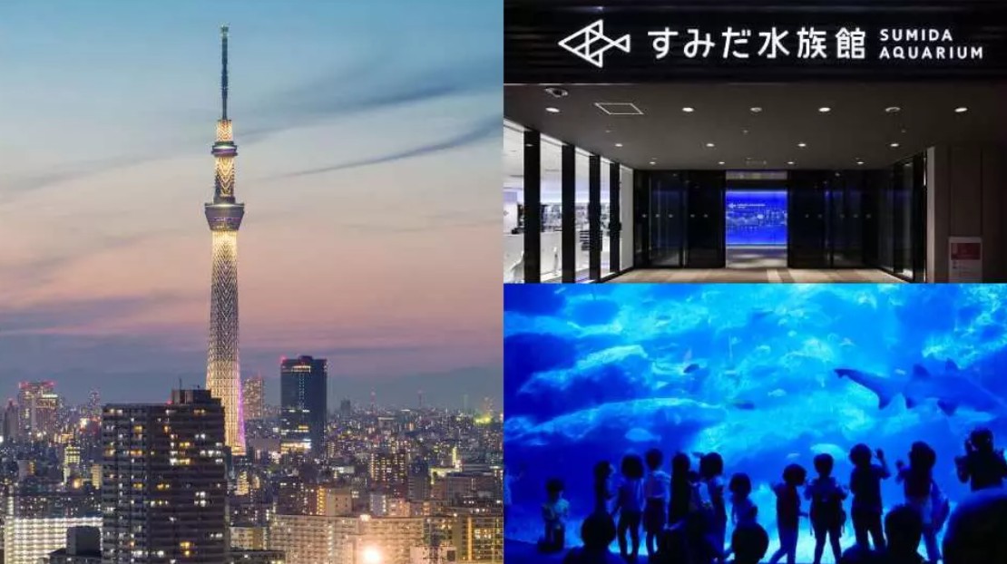 東京晴空塔墨田水族館套票