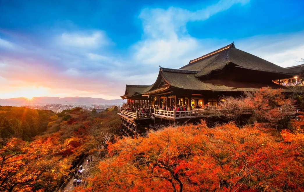 清水寺楓葉