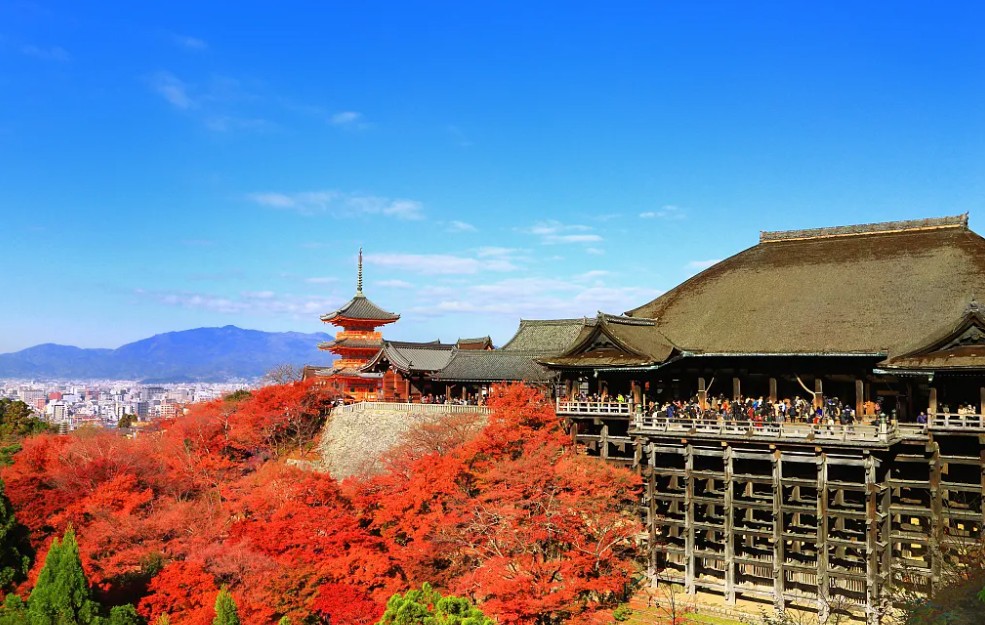 清水寺楓葉