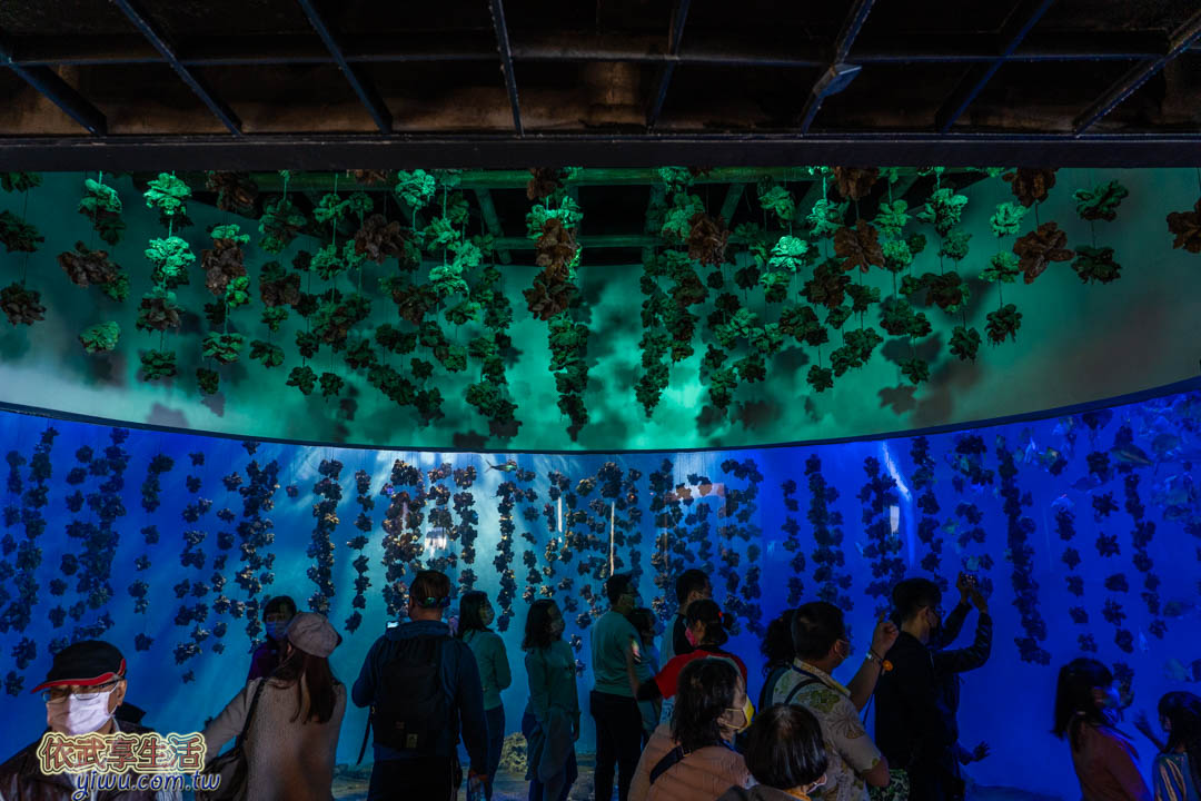 屏東海生館