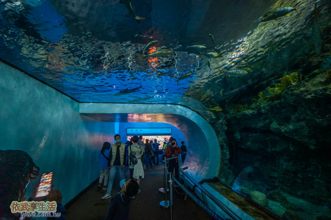 屏東海生館