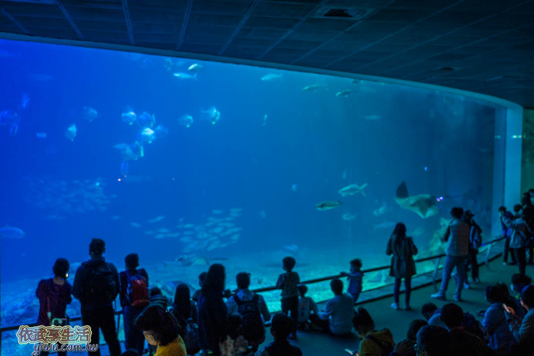 屏東海生館
