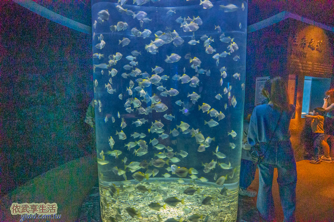 屏東海生館