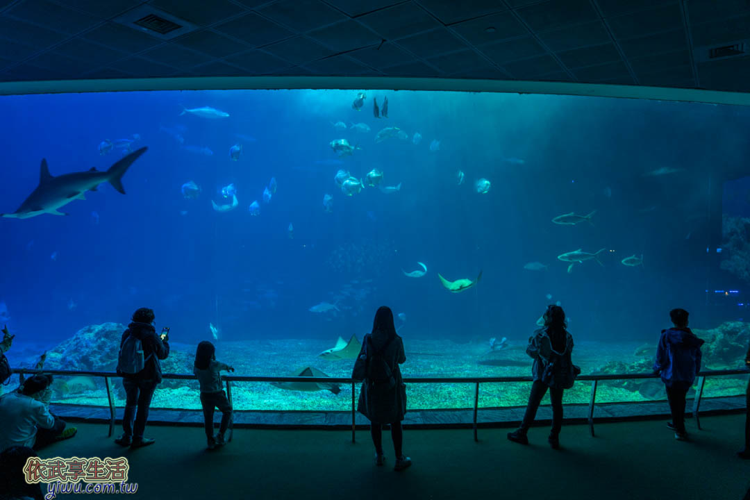屏東海生館