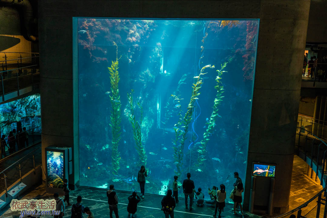 屏東海生館